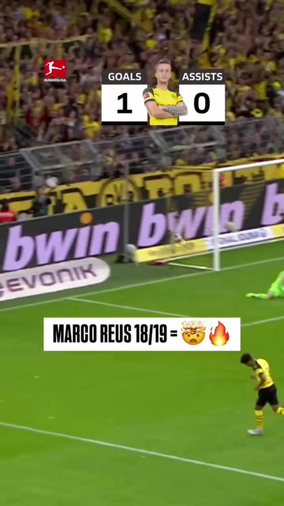 回憶殺！羅伊斯18/19賽季德甲快速回顧！精彩的一個賽季！